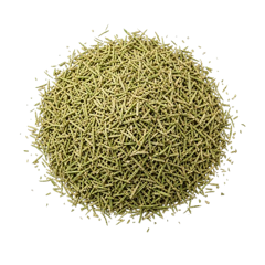 Rosmarino